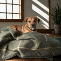 Arlo Forest Green Check Pet Blanket