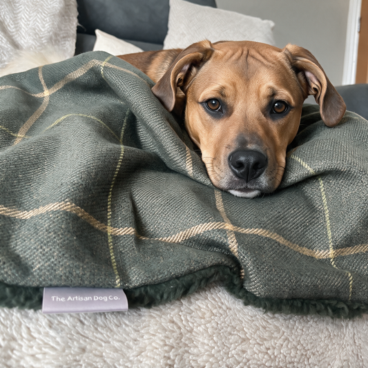 Arlo Forest Green Check Pet Blanket