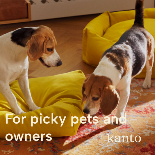 Kanto Dog Beds Collection